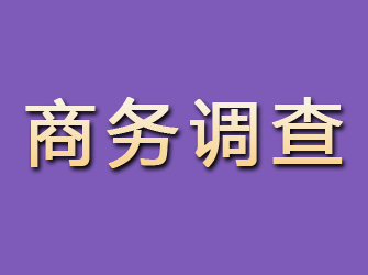 九台商务调查